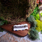 back of Bookstack barrette on a wood and stone background surrounded by moss