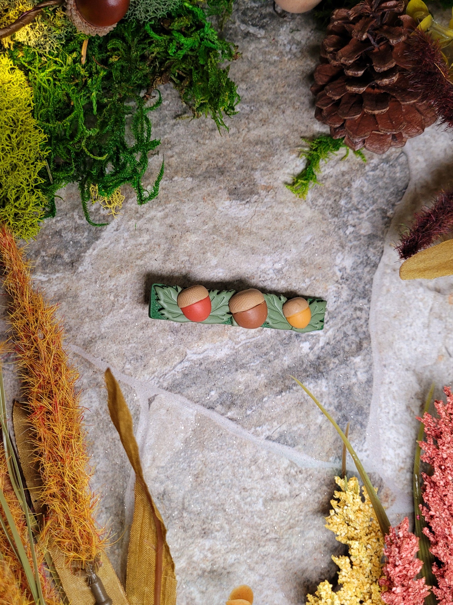 Right opening acorn clips on a stone background surrounded by foliage