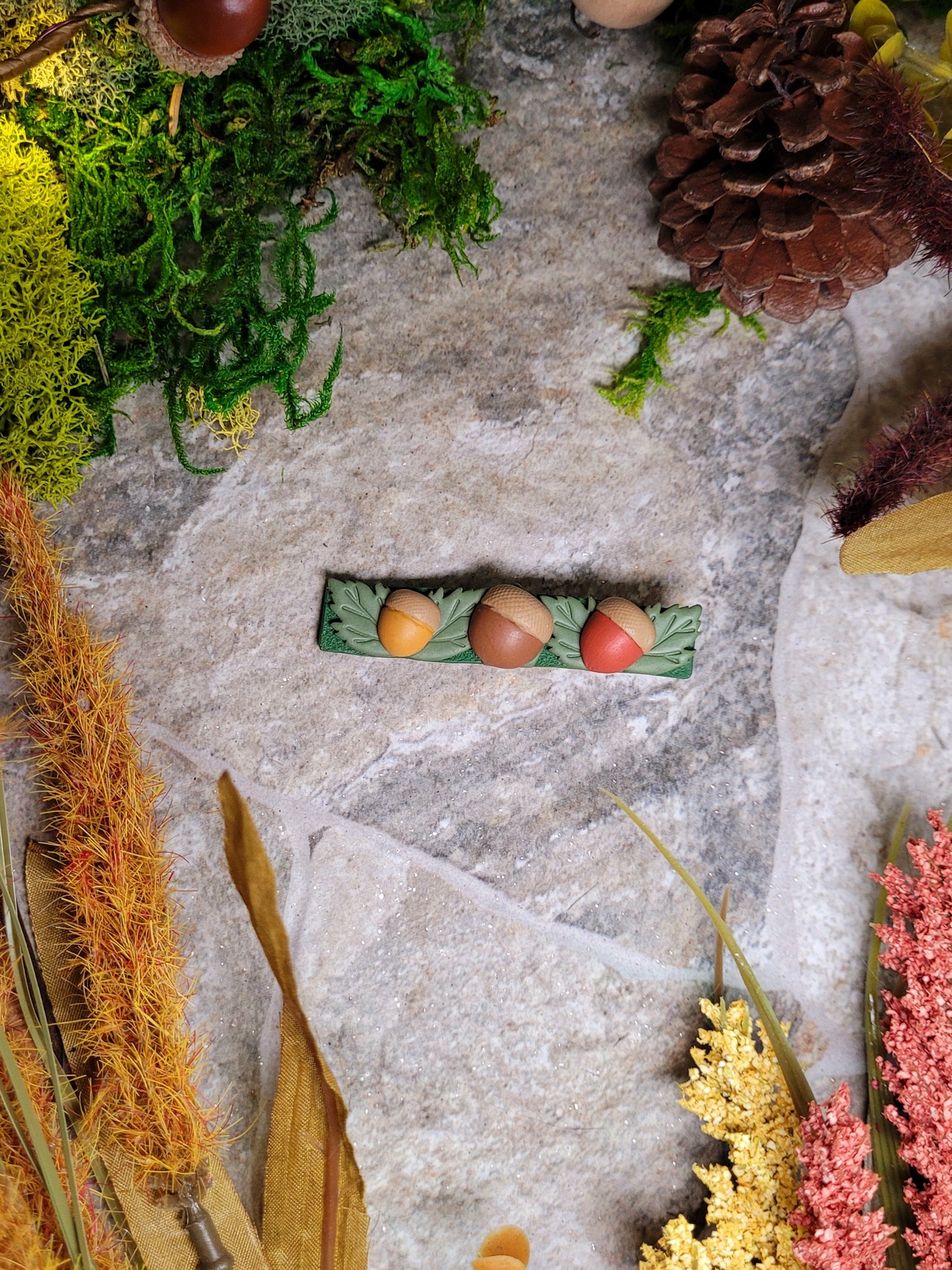 left opening acorn clip  on a stone background surrounded by foliage