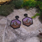 video close up Night Court Earring on a stone background surrounded by foliage