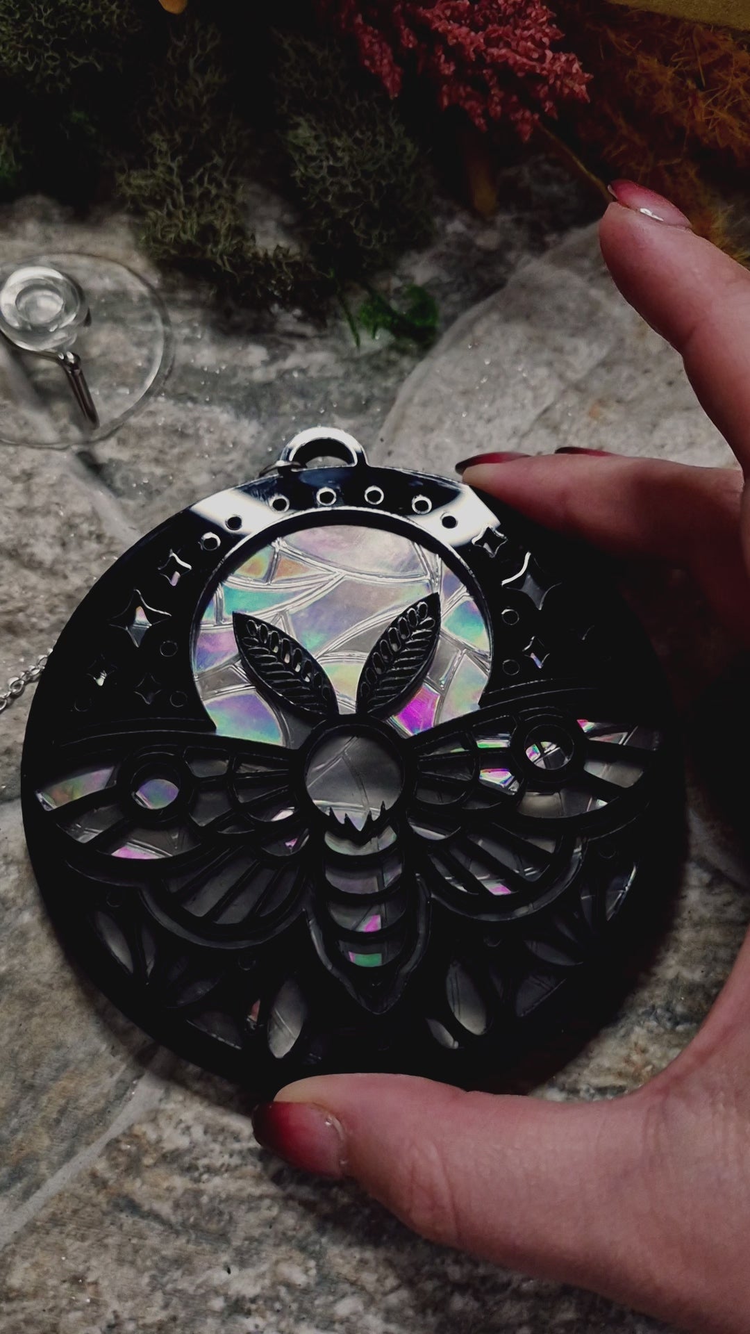 video of Celestial Moth suncatcher on a stone background surrounded by foliage