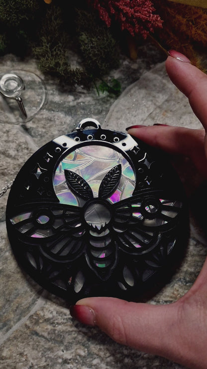 video of Celestial Moth suncatcher on a stone background surrounded by foliage
