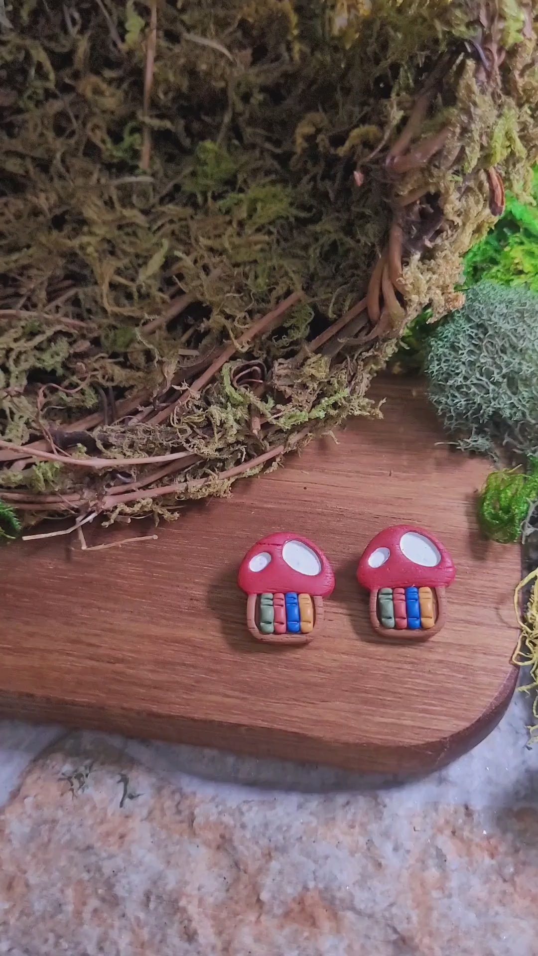 video close up of toadstool studs on wood and stone background surrounded by moss. 