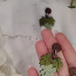 video close up of  red and Green grape bunch earrings on a marble background surrounded by foliage